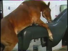 In this never-before-seen brutal episode, a horny horse mounts a plastic copy and gets its dong milked.